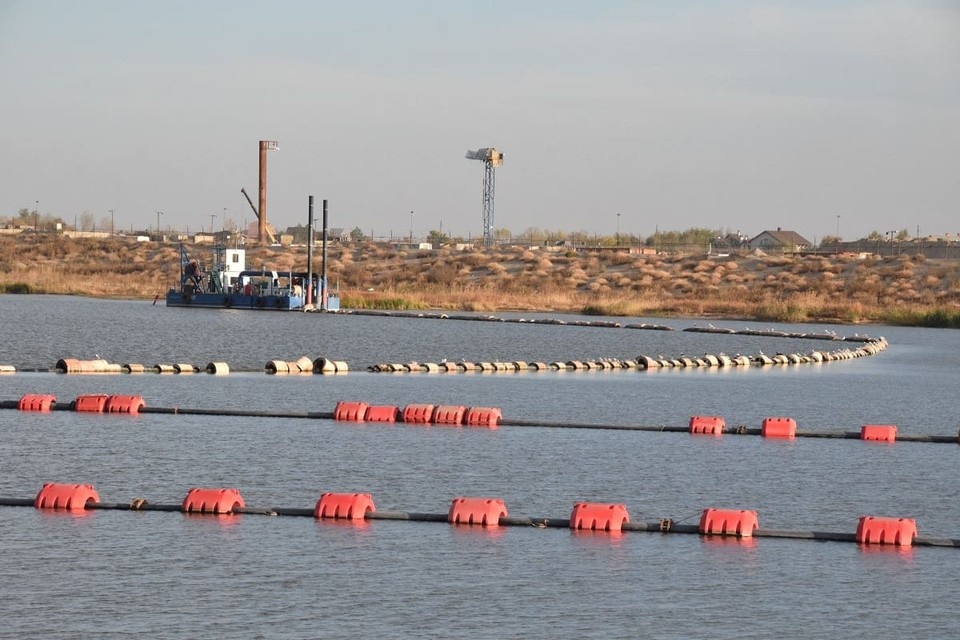    Зоолог считает, что в Дон заходили морские свиньи. Дмитрий КУТЕПОВ