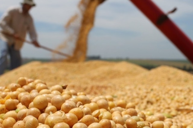 Фото: pxhere.com