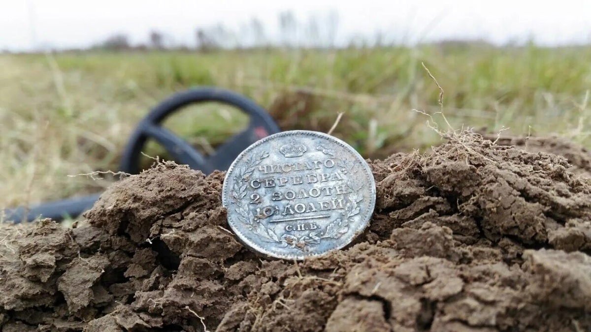 Поиск монет с металлоискателем - поле