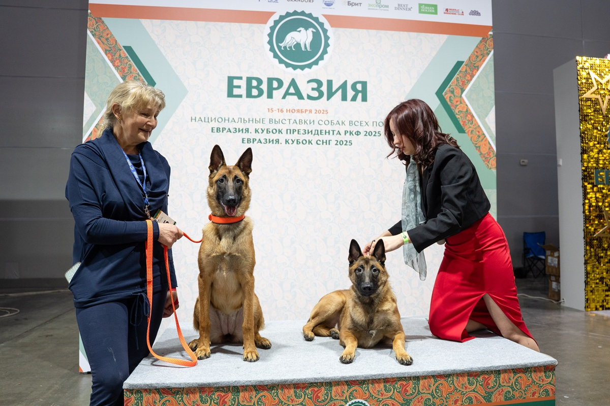 Фото: Александр Плонский / «ВиЖ»