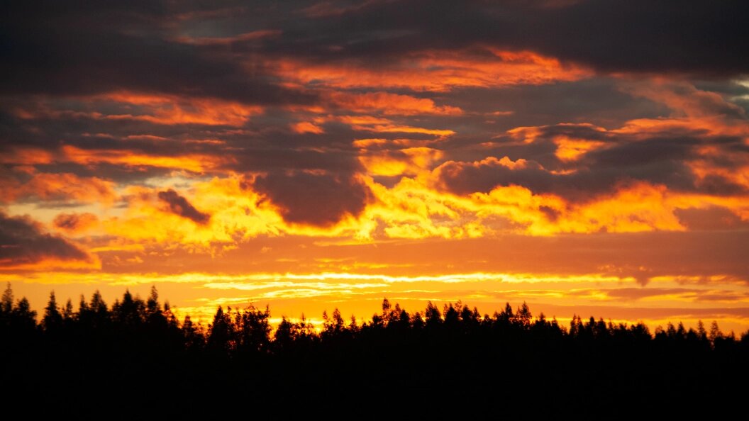    Svetlana Vozmilova/Globallookpress