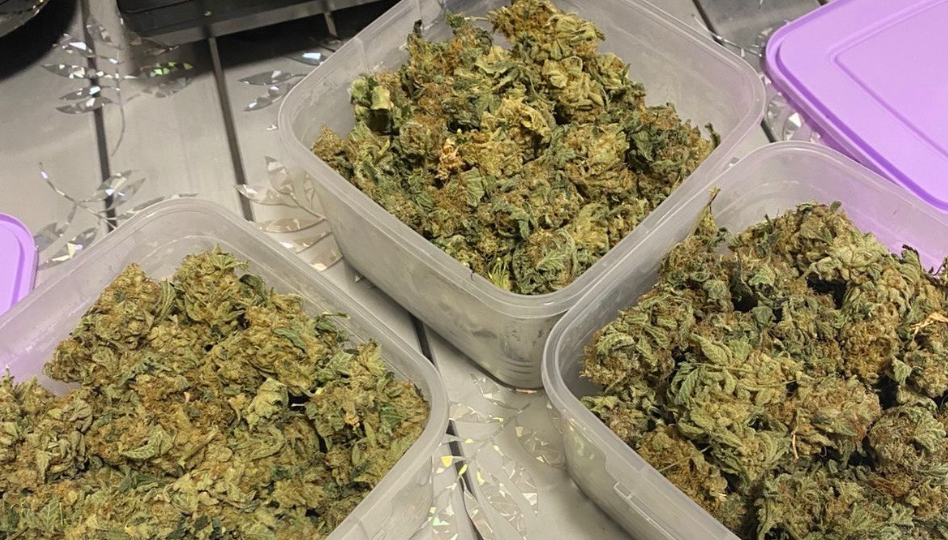 Челябинка пыталась распространить по городу марихуану