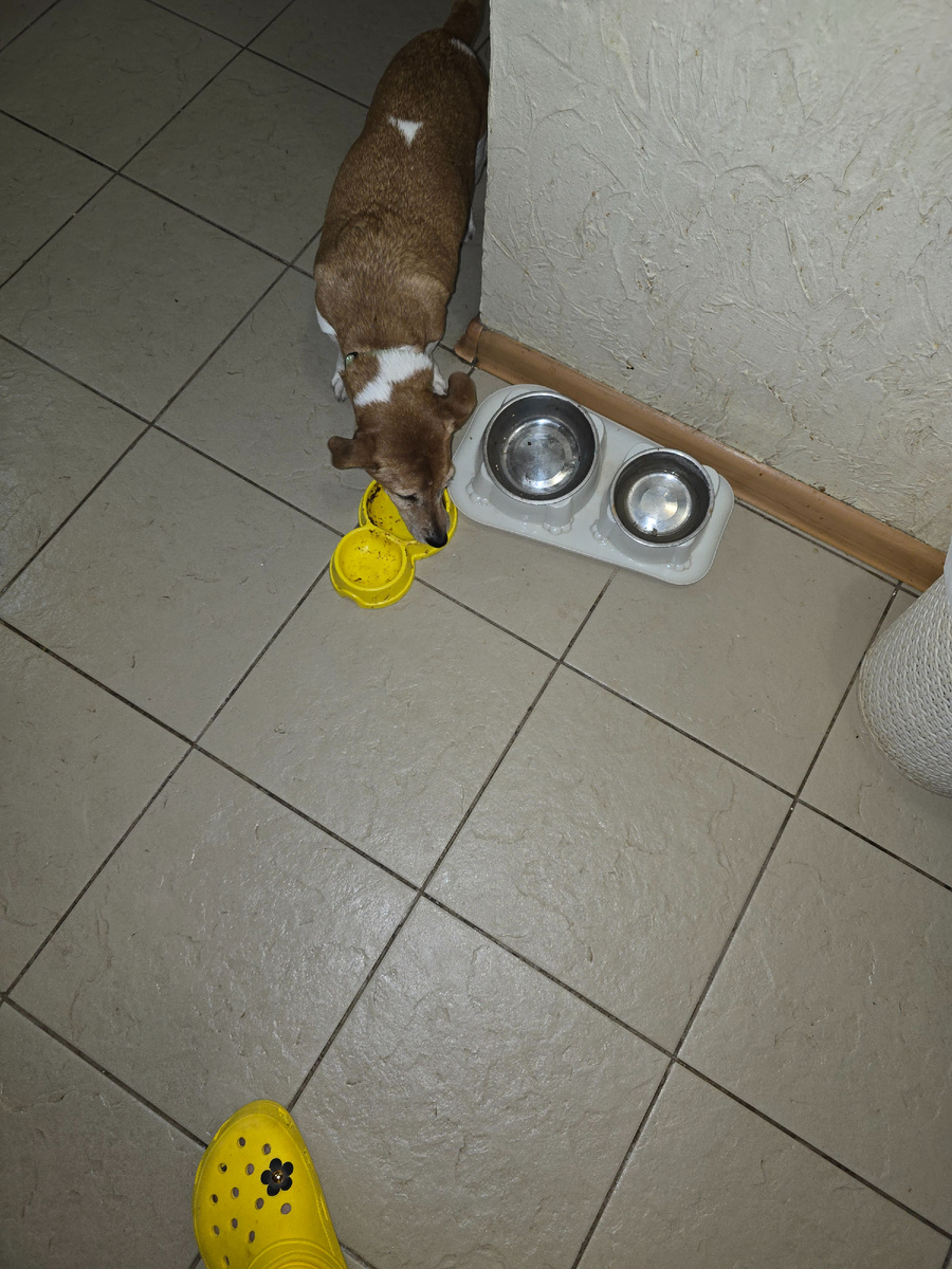 "Общество чистых тарелок" за работой😊