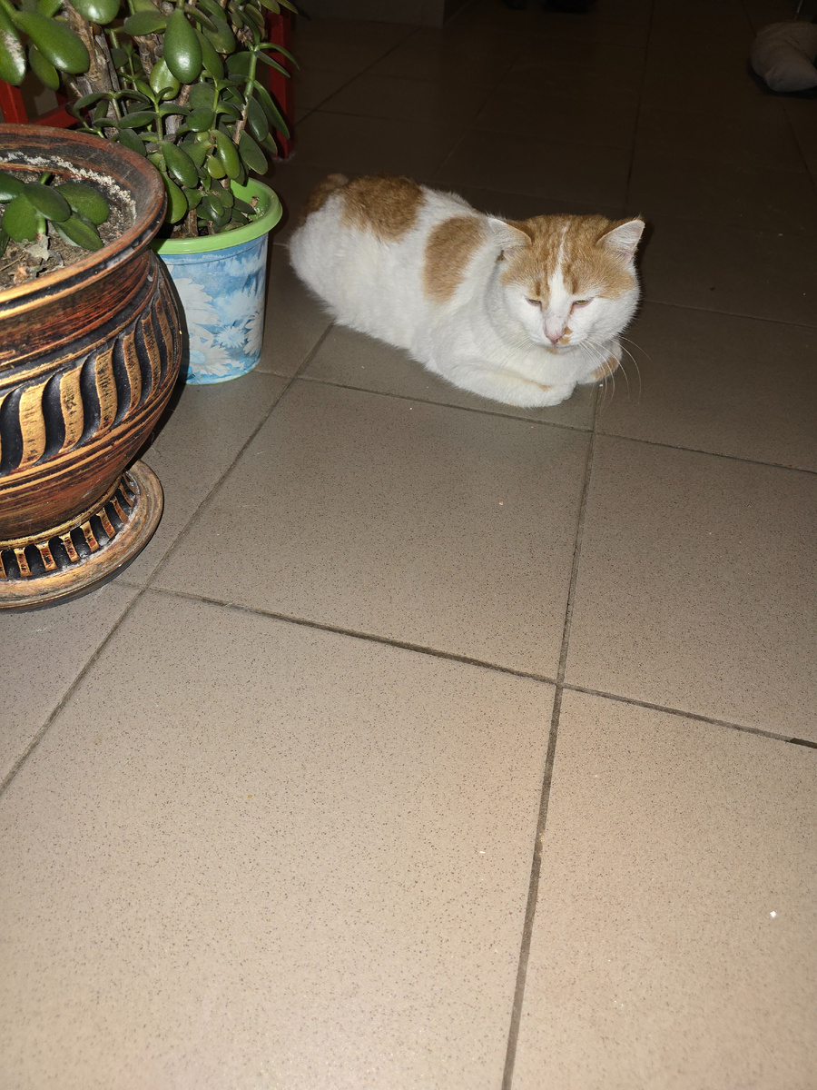 Хантер - философ.