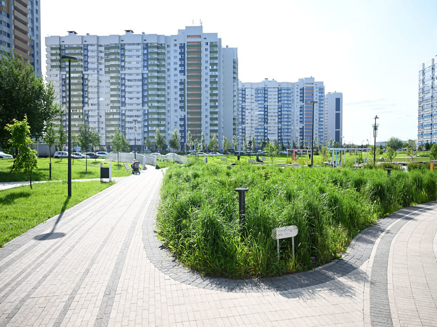 Фото: Денис Гордийко