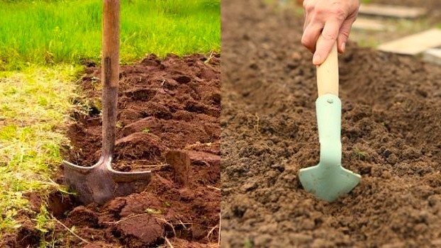 подготовка почвы под морковь