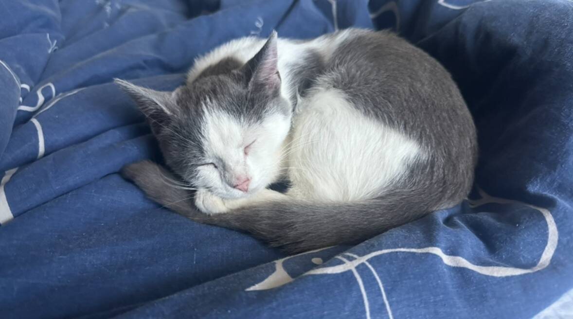 Наше счастье, с сюрпризами😀