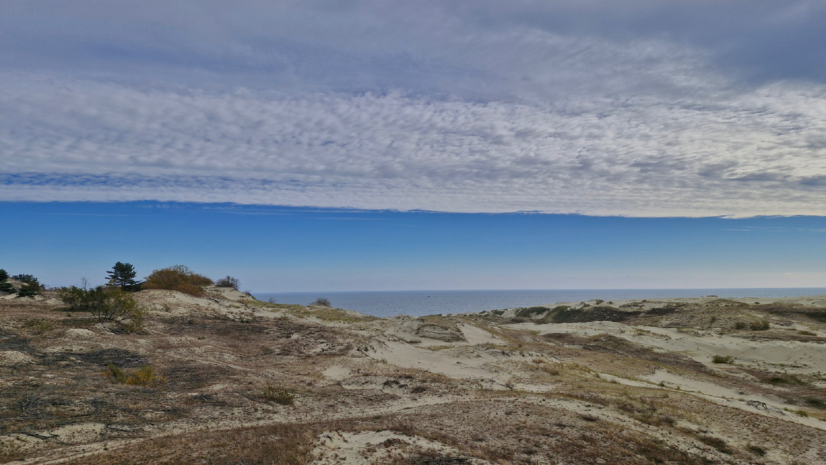 Фотографии получаются контрастными и притягательными