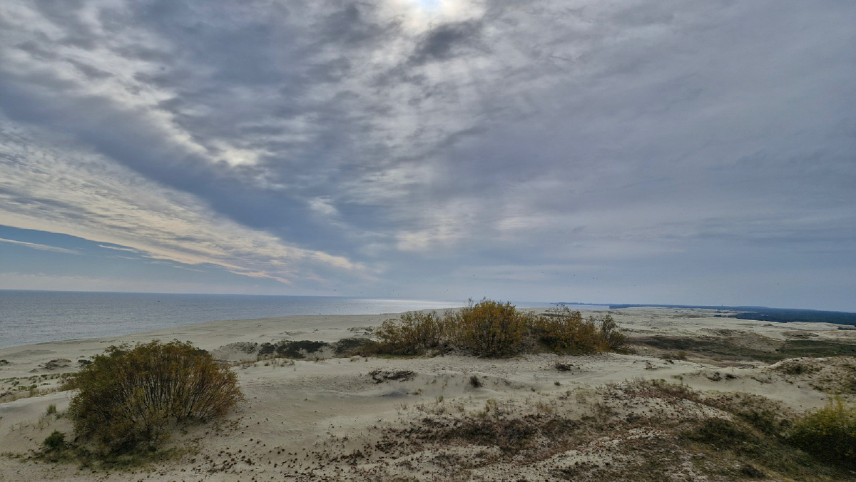 Виды на дюны
