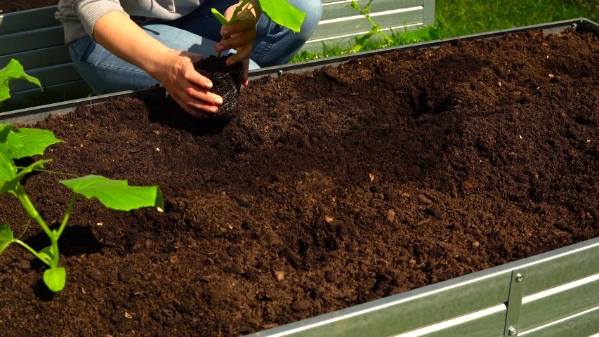 почва под огурцы