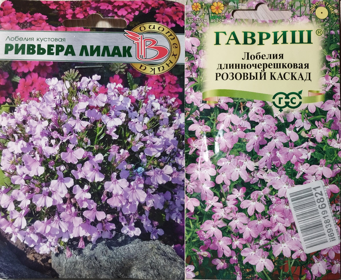 Пакеты с семенами розовой лобелии