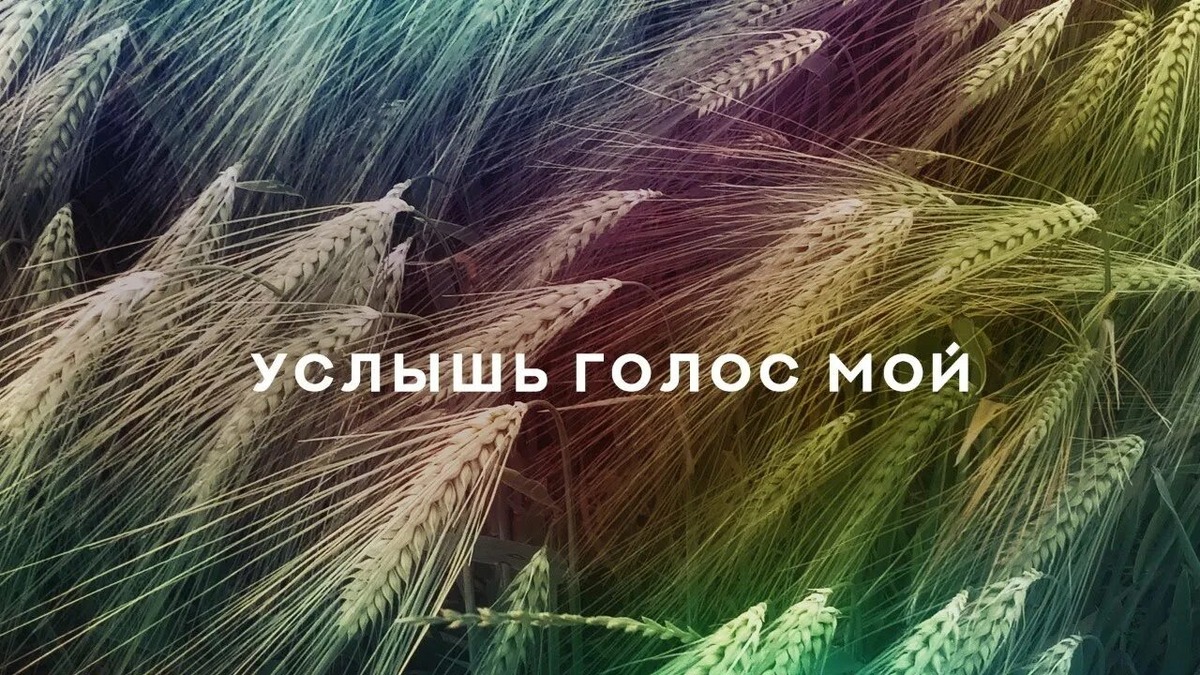 Из интернета