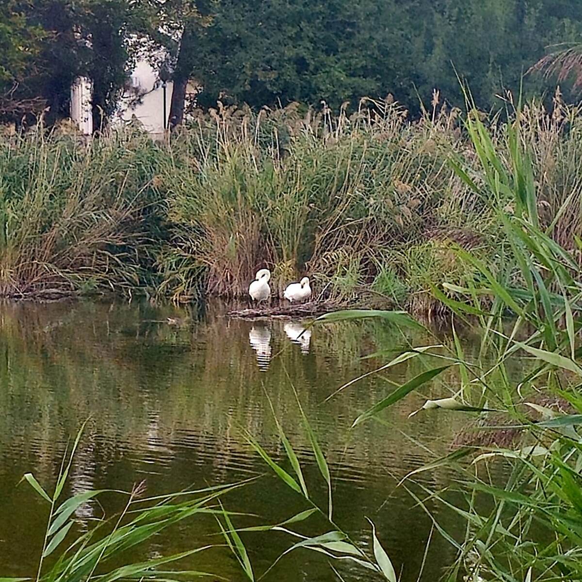 Фото автора. 