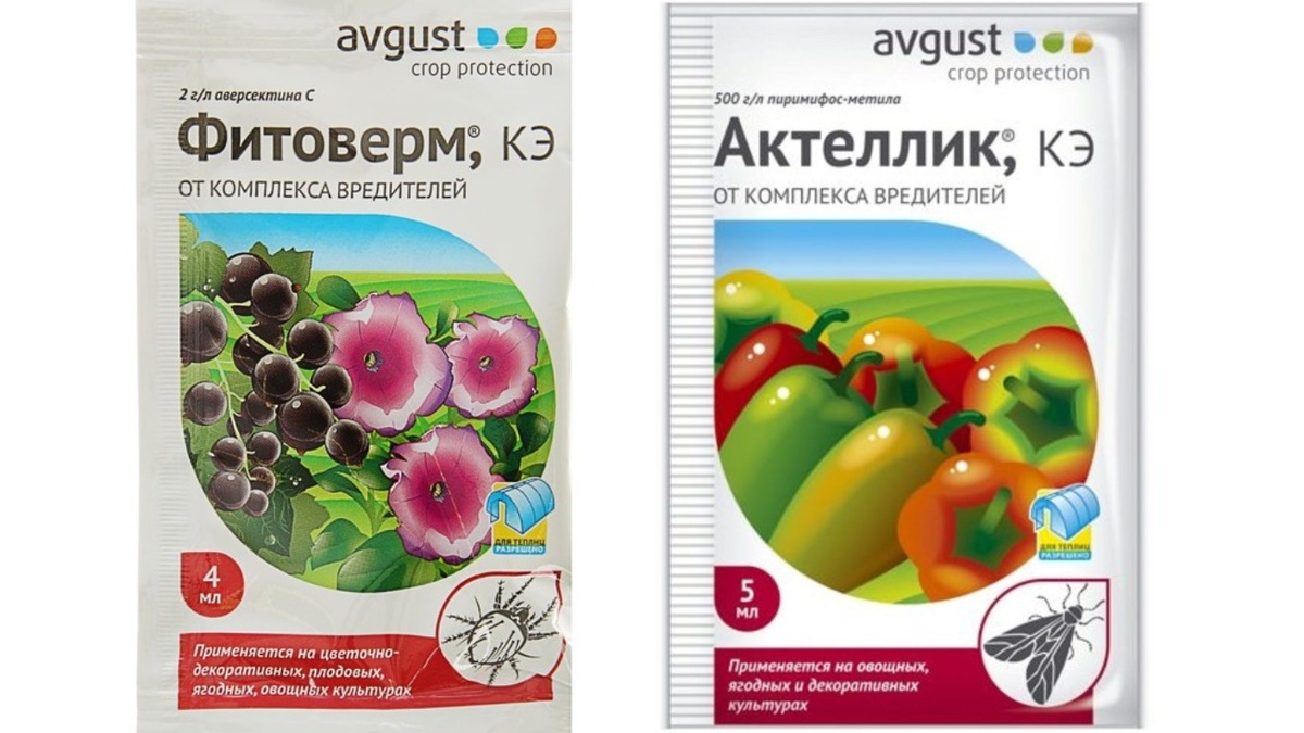 Популярные, но неэффективные в моем случае препараты