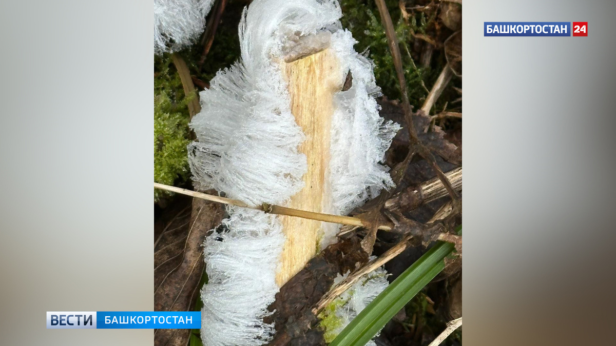    В Аскинской пещере Башкирии обнаружено редкое природное явление - «волосатый лед»