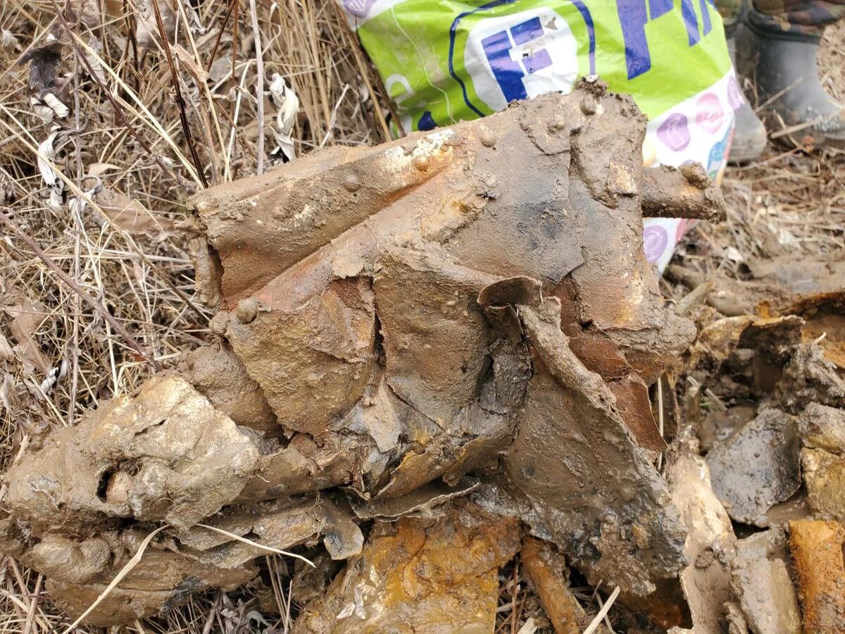    Фото: АвиаПоиск / Telegram