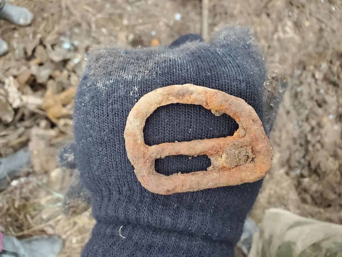    Фото: АвиаПоиск / Telegram