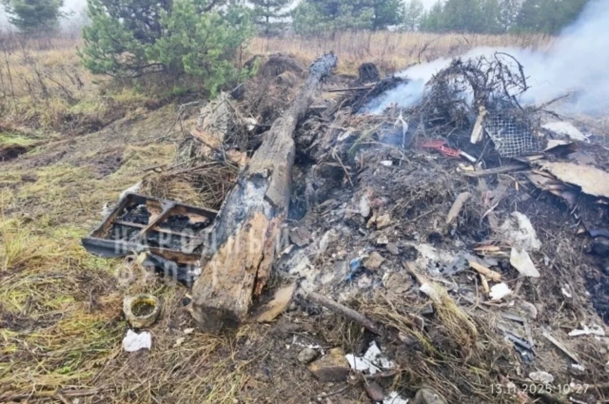    В Гусь-Хрустальном районе сжигают мусор прямо возле деревень