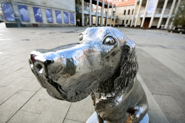    Фото: Игорь Филонов