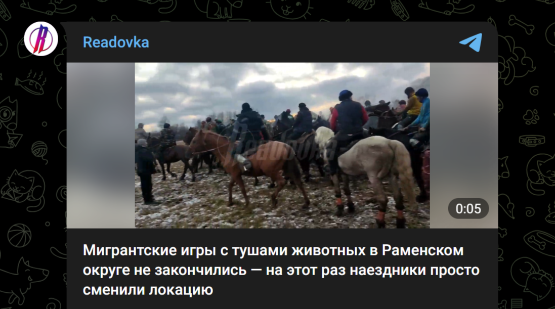 Фото: Telegram-канал "Readovka