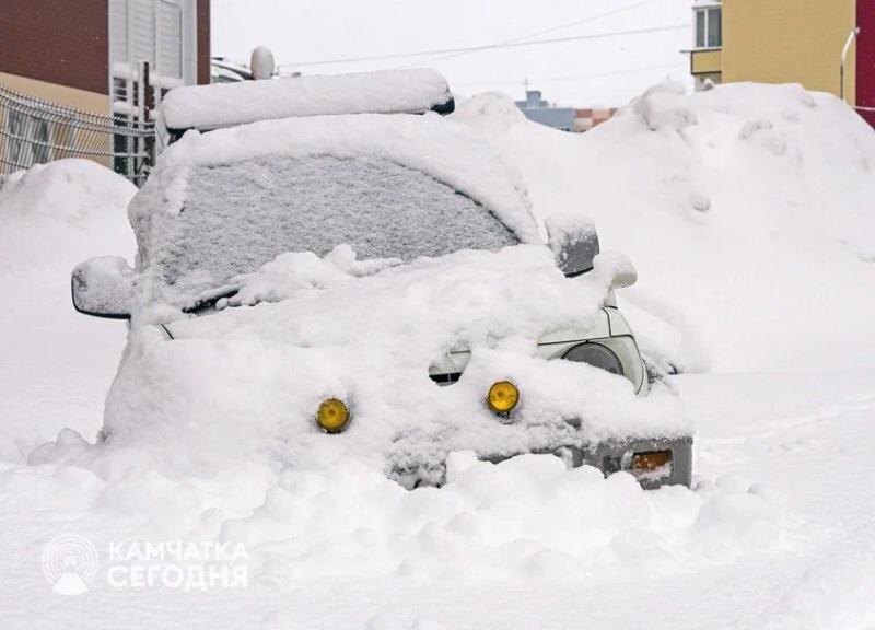 Фото Артема Безотечество / ИА «Камчатка»