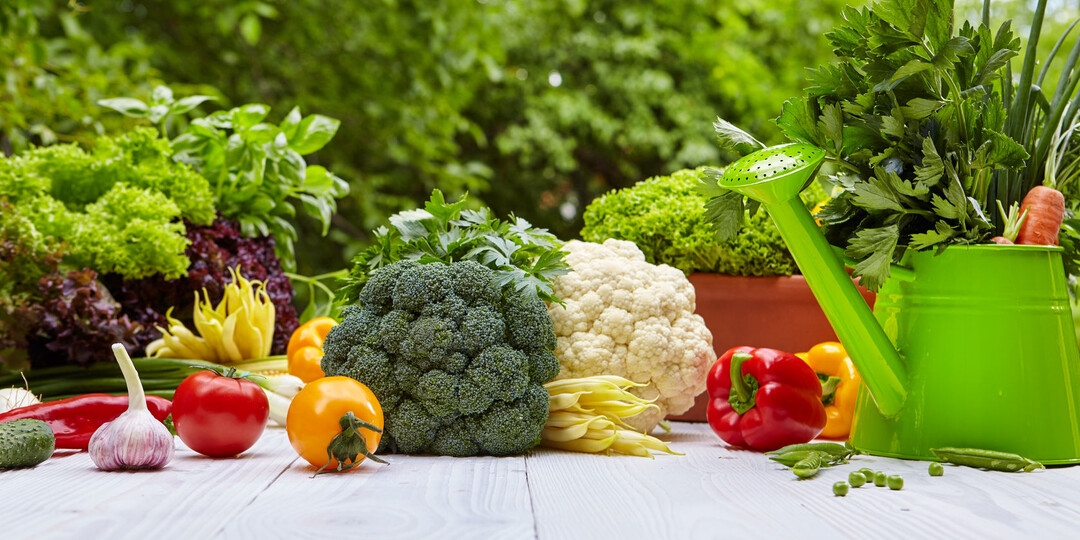 Калимагнезия. Новинка. Для корневых и листовых подкормок.