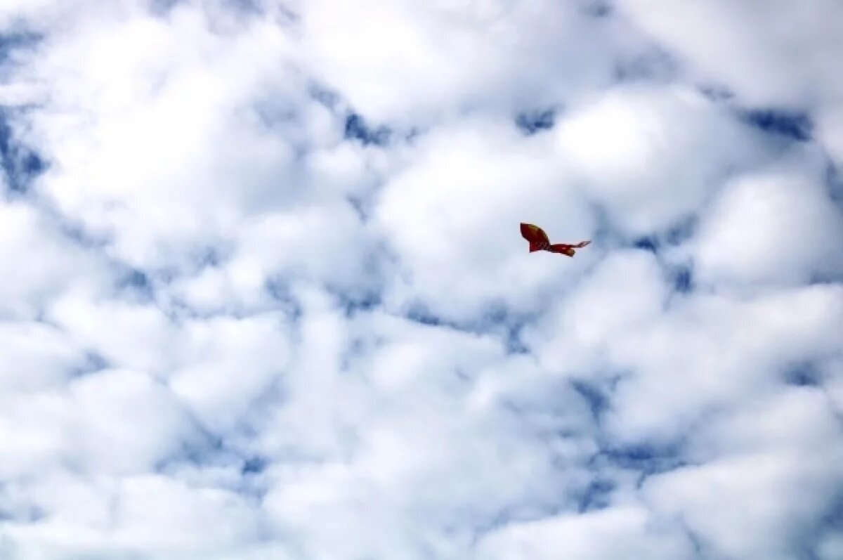    0ºС, ветер и дождь ожидаются в Пензенской области