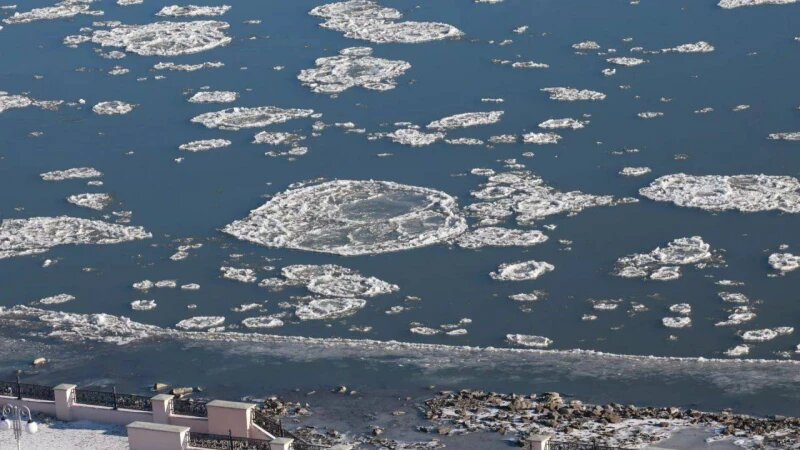     Шуги на Оби в Барнауле. Телеграм-канал «Барнаул Live»