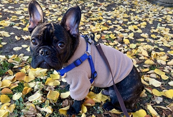    Фото Н.Николаевой Диана Огнева