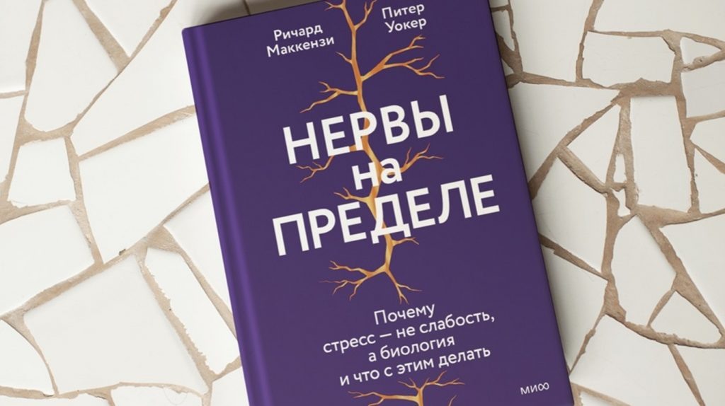     «Как поживает проект?», или Нервы на пределе. Почему «просто возьми себя в руки» не работает Екатерина Кудрина