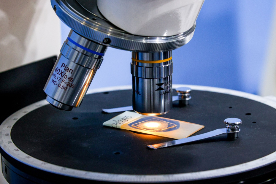    Сергей Лантюхов/NEWS.ru