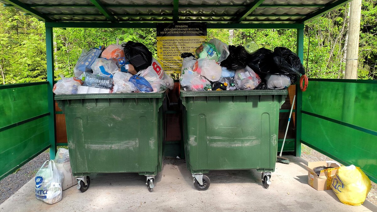    Фото: Maksim Konstantinov/globallookpress.com