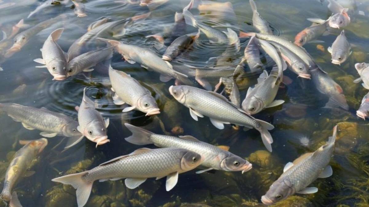    Фото: Администрация Ракитянского района / Telegram