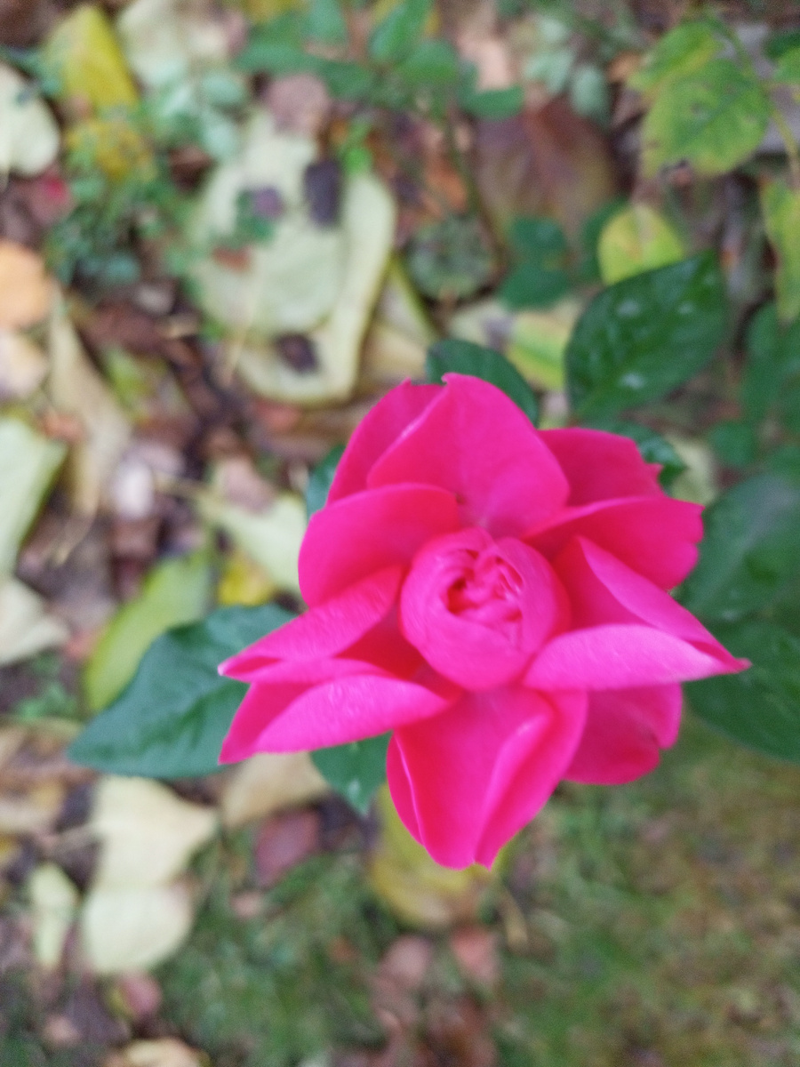 Фото автора.