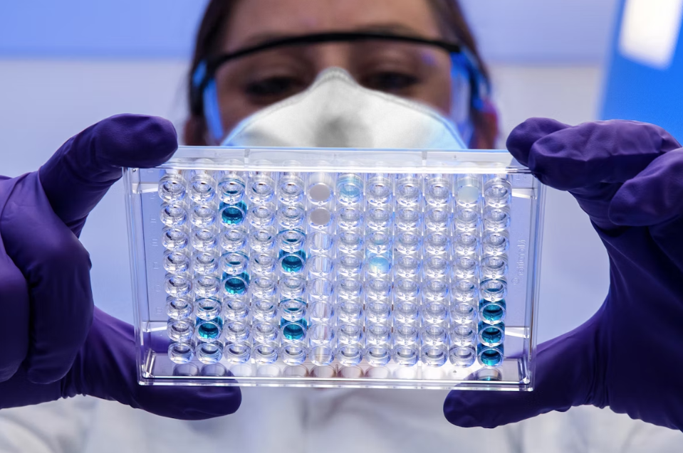 Фото: CDC / Unsplash