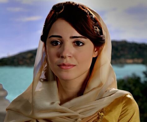 Глава 119. Правление Мустафы.