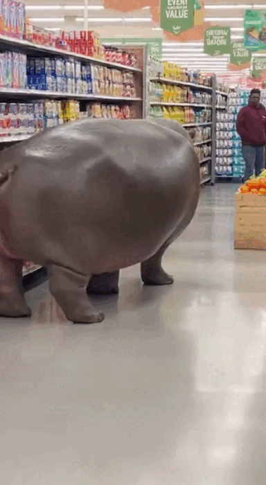 Генерация видео