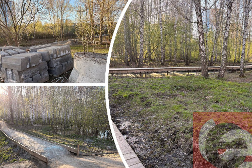    Фото: коллаж "Прецедента"