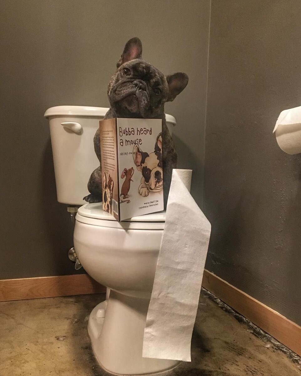 источник фото: https://i.pinimg.com/originals/f1/92/d8/f192d856bb7ff0eab6fc5e6ca90c9716.jpg