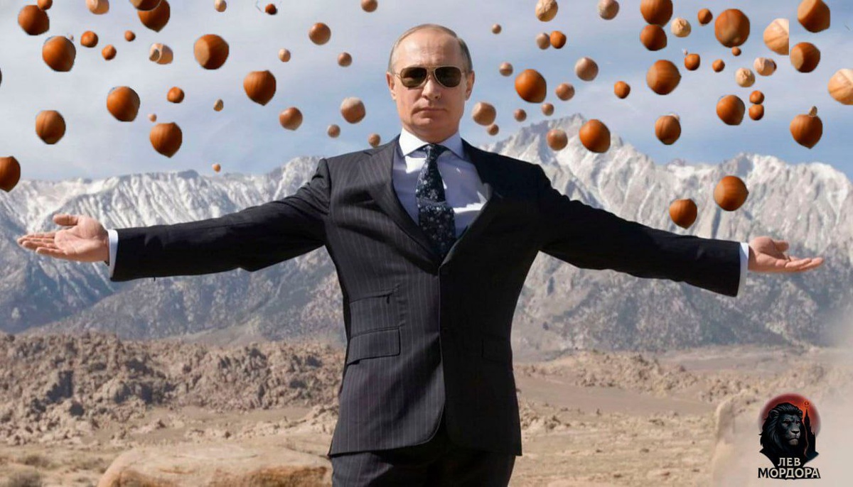 Все фото из интернета и некоторые из ваших коментариев