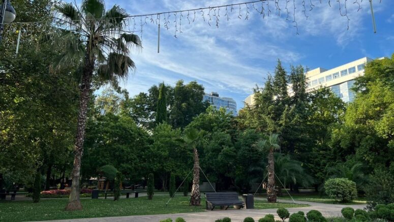    Кооперативный сквер в Сочи / sochi.ru