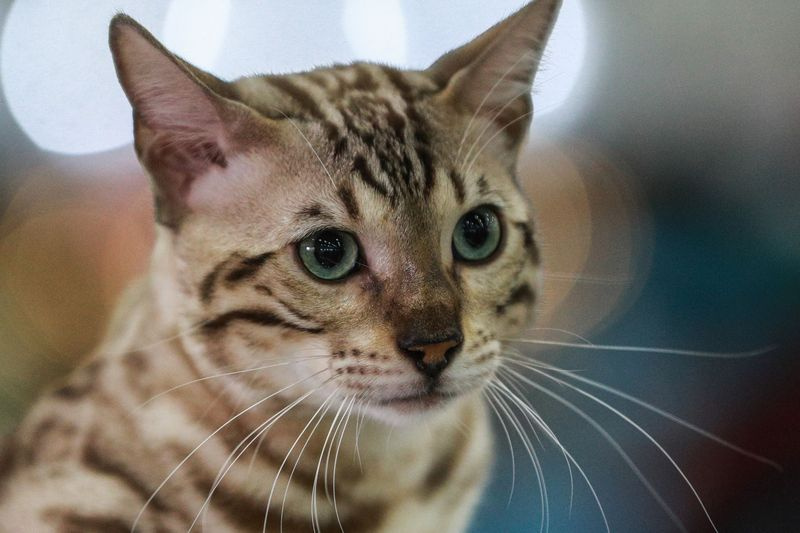    Сергей Булкин/NEWS.ru