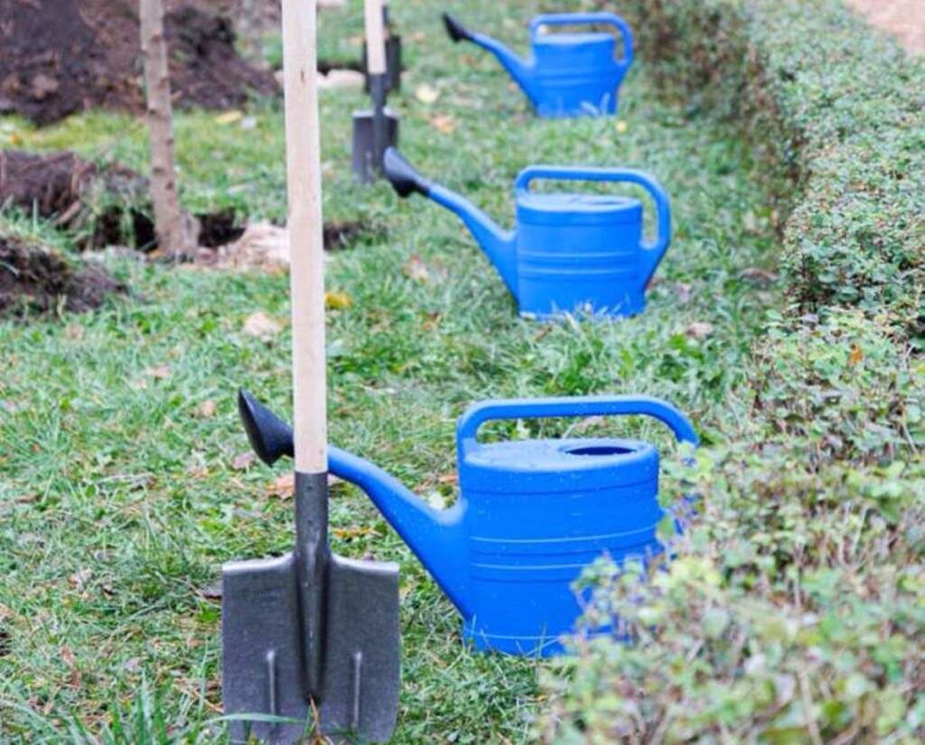    Фото пресс-службы администрации Ростова-на-Дону admin