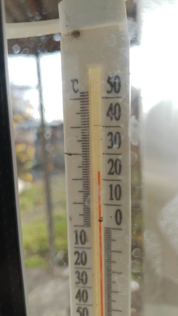 Это ноябрь, да