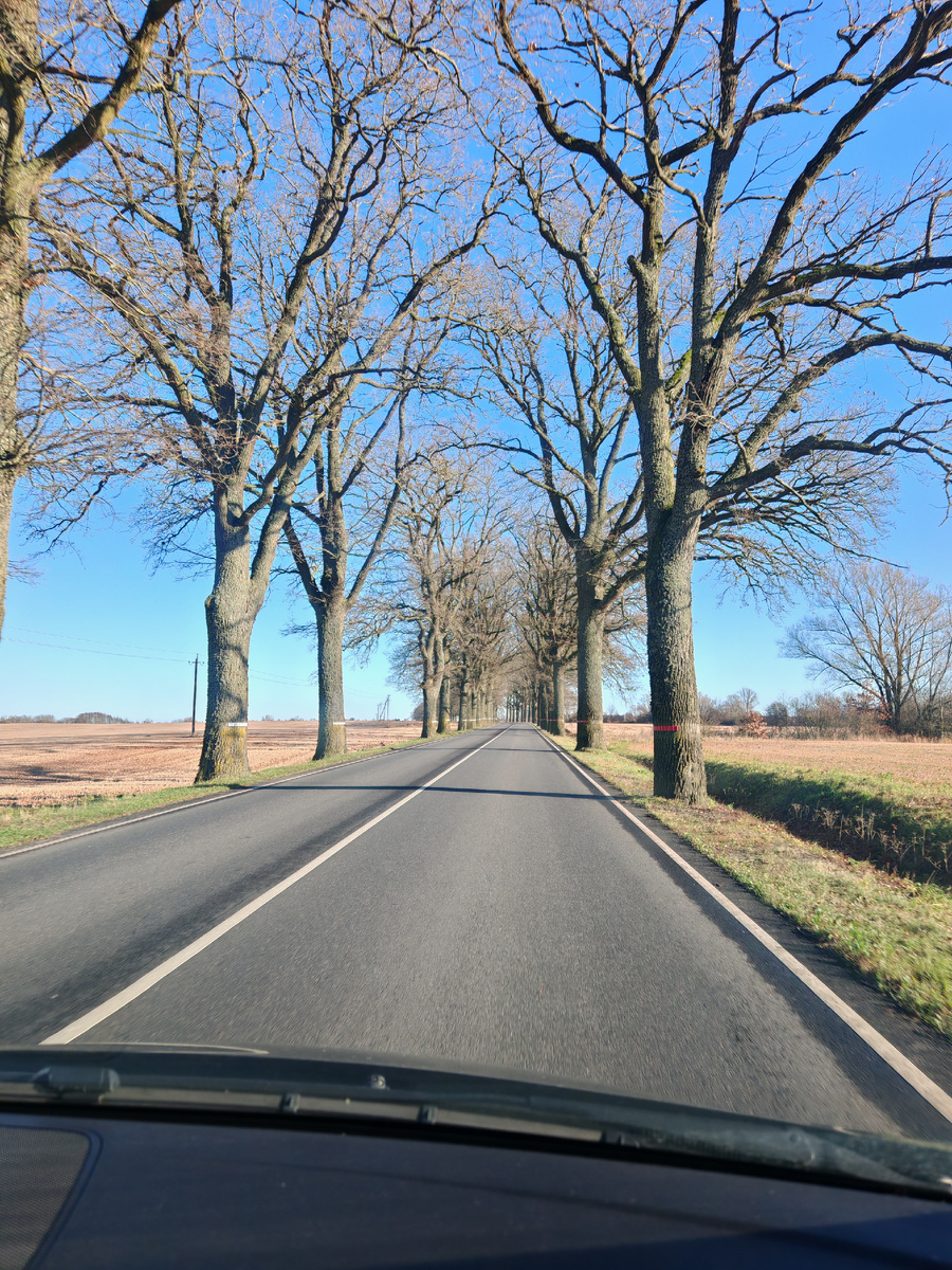 Дорога в Калининградской области перед КПП Чернышевское.