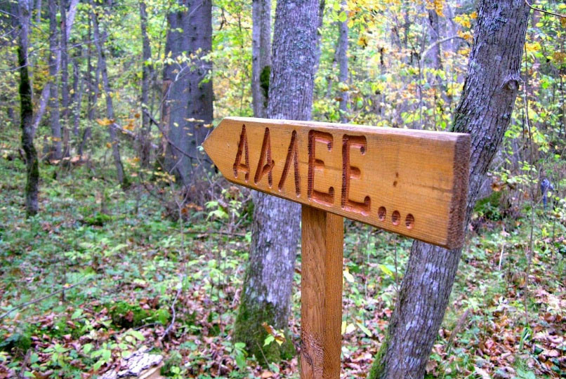 Единственное животное леса, от которого можно бежать, размахивая руками. Можно и нужно