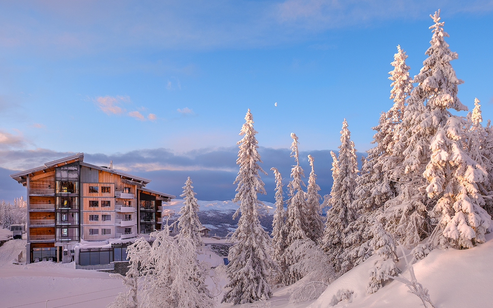 Источник изображения: freepik.com