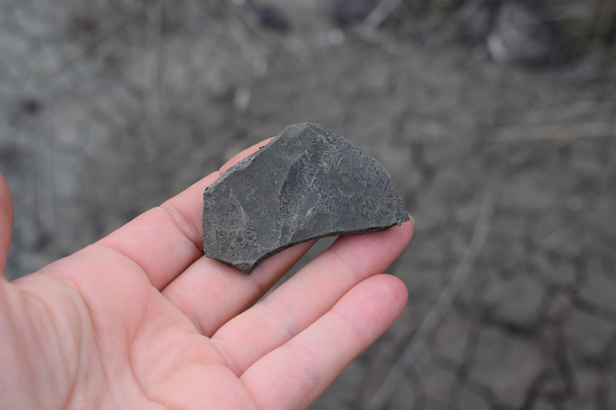 Балаклавская глина, сухая.