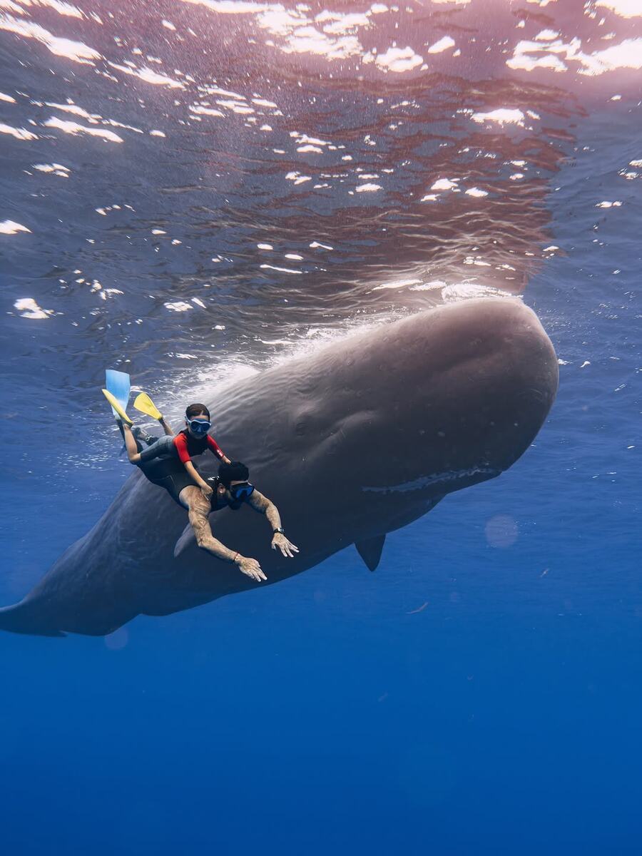 Тимати с сыном Ратмиром