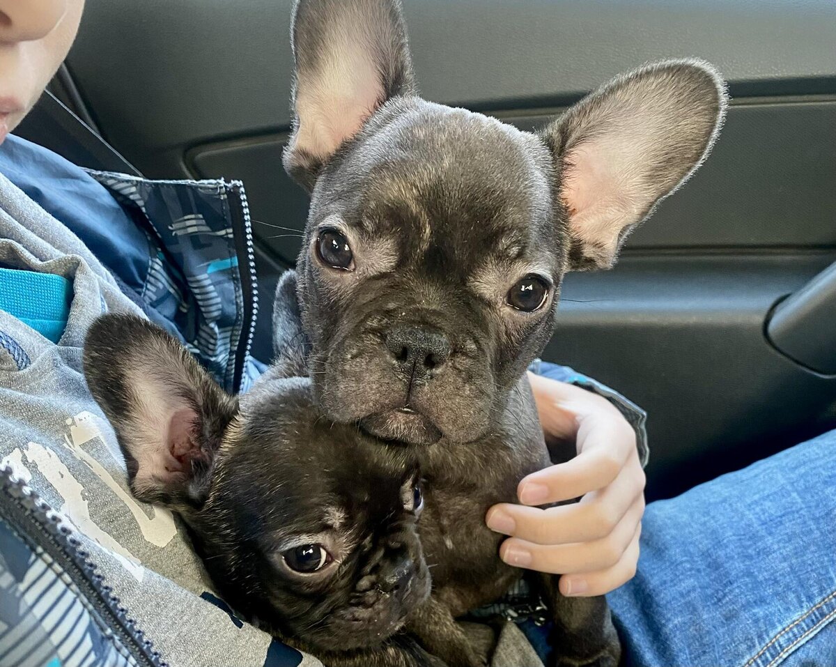 Едем домой... Пока без имени ))